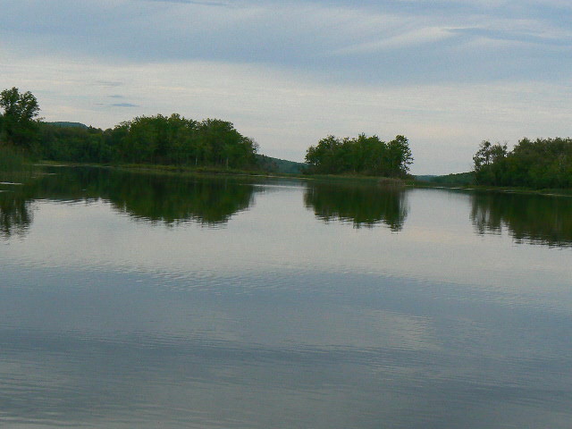 Les bouquets forestiers 1